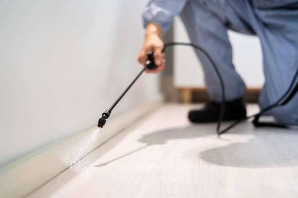 Rodent Entry Point Assessment in Rowland Heights