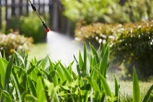 Tamper-Resistant Bait Stations for Rodents in Rowland Heights