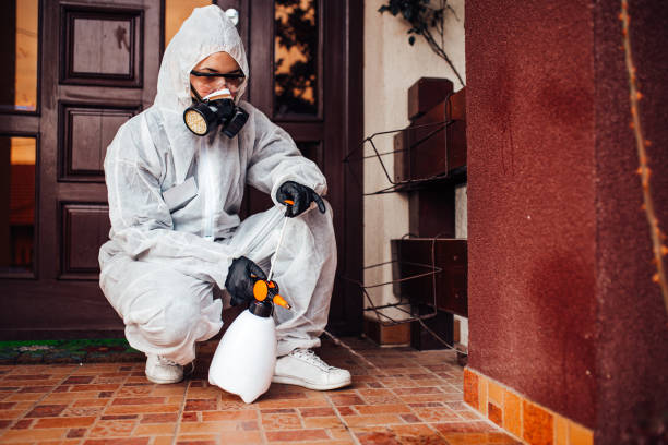 Attic and Crawl Space Rodent Treatment in Rowland Heights